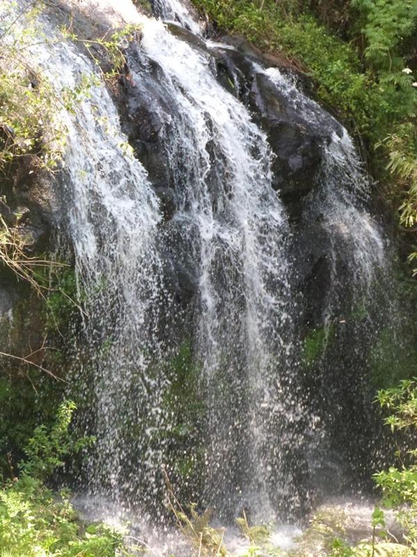 Casarão Da Cascata Vila Gramado Exterior foto